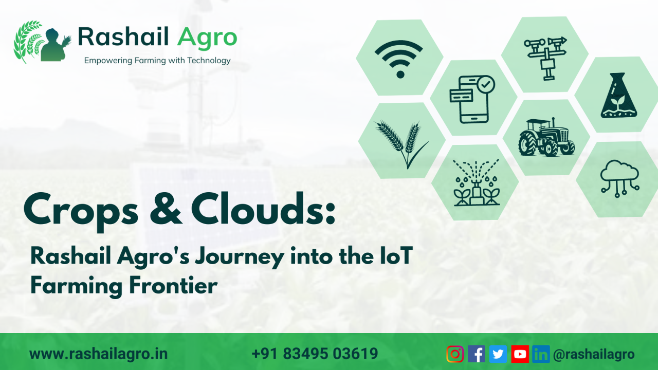 Crops & Clouds: Rashail Agro's Journey into the IoT Farming Frontier
