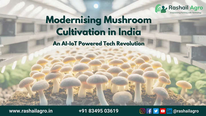 Modernising Mushroom Cultivation in India