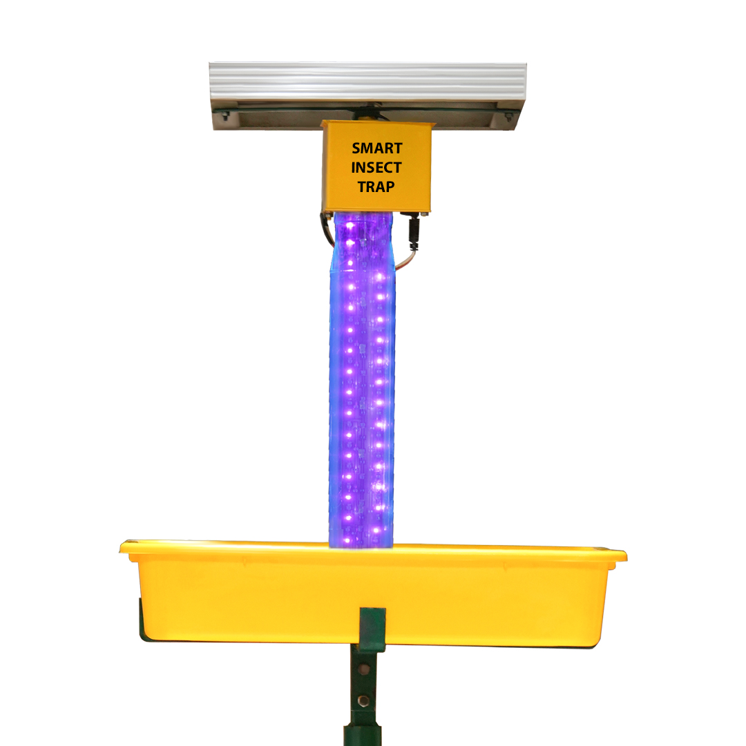 solar-insect-trapper
