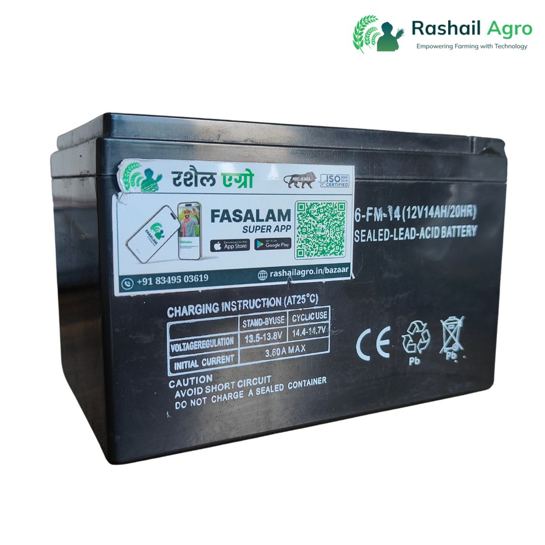 rashail-battery-2