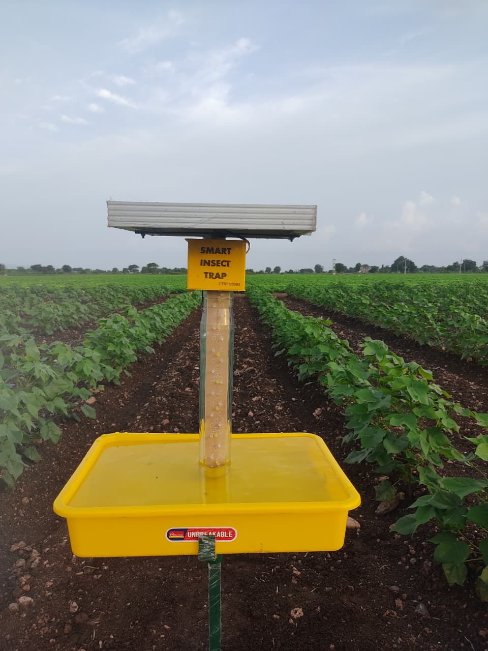 insect-trapper-solar